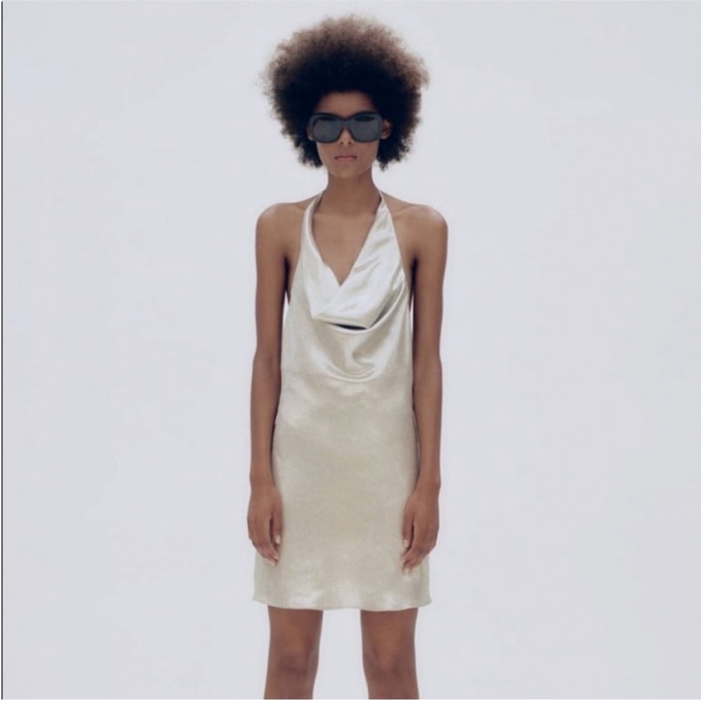 Zara Metallic Draped Dress